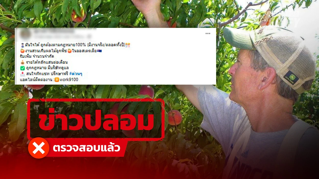 เตือนภัย ! มิจฯ ลวงทำงาน “ออสเตรเลีย” อ้างรายได้ 120,000 บาท ที่แท้งานทิพย์ หลอกเงินมัดจำ